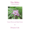 The Bible: A Poetic Journey - Paperback