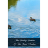 The Sunday Sermons Of The Great Fathers: Volume 3 - From Pentecost To The Tenth Sunday After Pentecost - Paperback