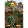 Stone Soup Magazine: June 2022 - Paperback