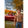 The Perfect Boy - Paperback