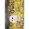 Owls: Grayscale Adult Coloring Book - Travel Size - Paperback
