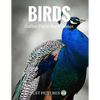Birds: Coffee Table Book Series - Paperback