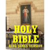 Holy Bible - Paperback