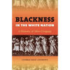 Blackness in the White Nation: A History of Afro-Uruguay - Paperback