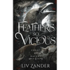 Feathers so Vicious: A Dark Fantasy Romance - Paperback