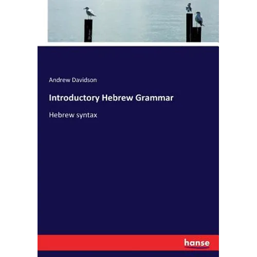 Introductory Hebrew Grammar: Hebrew syntax - Paperback