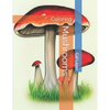 Mushrooms: Coloring - Paperback
