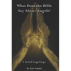 What Does the Bible Say About Angels?: A Styled Angelology - Paperback