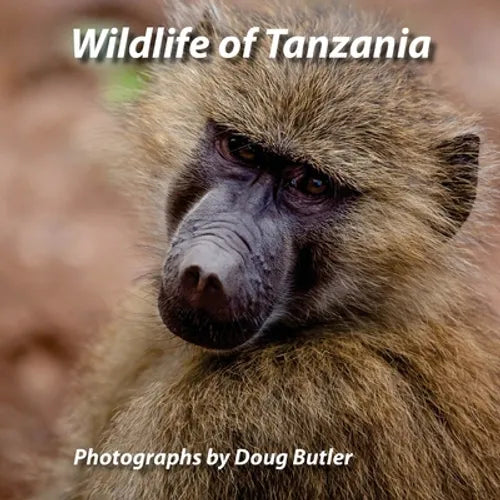 Wildlife of Tanzania: An African Photo Safari for All Ages - Paperback