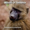 Wildlife of Tanzania: An African Photo Safari for All Ages - Paperback