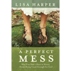 A Perfect Mess: Why You Don't Have to Worry about Being Good Enough for God - Paperback