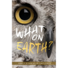 What on Earth? - Paperback