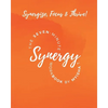 The Seven Minute Synergy Workbook - Paperback
