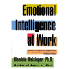Emotional Intelligence at Work - Paperback