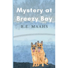 Mystery at Breezy Bay - Paperback