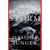 Perfect Storm - Hardcover