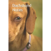 Dachshund Notes - Paperback