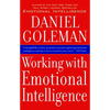 Working with Emotional Intelligence - Paperback