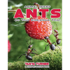 ANTS Do Your Kids Know This?: A Children's Picture Book - Paperback