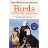 Birds of North America: A Guide to Field Identification - Paperback