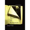 In Search of Klingsor: The International Bestselling Novel - Paperback