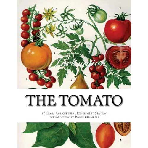 The Tomato - Paperback