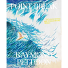 Point Break: Raymond Pettibon, Surfers and Waves - Hardcover