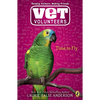 Time to Fly - Paperback