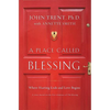 A Place Called Blessing: Where Hurting Ends and Love Begins - Paperback