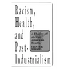 Racism, Health, and Post-Industrialism: A Theory of African-American Health - Paperback