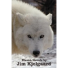 Eleven Novels by Jim Kjelgaard (complete and unabridged) including: The Spell of the White Sturgeon, The Lost Wagon, Trading Jeff and his Dog, Double - Hardcover