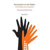 Declaration on the Rights of Indigenous Peoples - Paperback