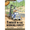 Timber in the Working Forest - Paperback