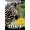 Zebras: Striped Wild Horses of Africa - Paperback