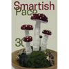 Smartish Pace: Issue 30 - Paperback
