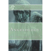 Angelology: The Doctrine of Angels - Paperback