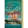 The Color of Air - Paperback