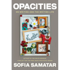 Opacities: On Writing and the Writing Life - Paperback