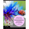 Wonderful Ladybugs and Flowers Book 1: Grayscale coloring books for adults Relaxation (Adult Coloring Books Series, grayscale fantasy coloring books) - Paperback