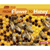 From Flower to Honey - Paperback