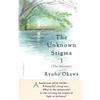 The Unknown Stigma 1 - Paperback
