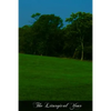 The Liturgical Year: Passiontide And Holy Week - Paperback