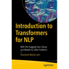 Introduction to Transformers for Nlp: With the Hugging Face Library and Models to Solve Problems - Paperback