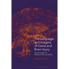The Language and Imagery of Coma and Brain Injury: Representations in Literature, Film and Media - Paperback