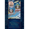 Mahasiddha Practice: From Mitrayogin and Other Masters, Volume 16 (the Treasury of Precious Instructions) - Hardcover