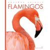 Flamingos - Paperback