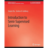 Introduction to Semi-Supervised Learning - Paperback