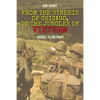 From the Streets of Chicago, to the Jungles of Vietnam: Voyage to Vietnam - Paperback
