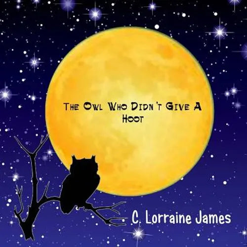 The Owl Who Didn't Give A Hoot - Paperback
