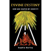 Divine Destiny: How God Shaped My Identity - Paperback
